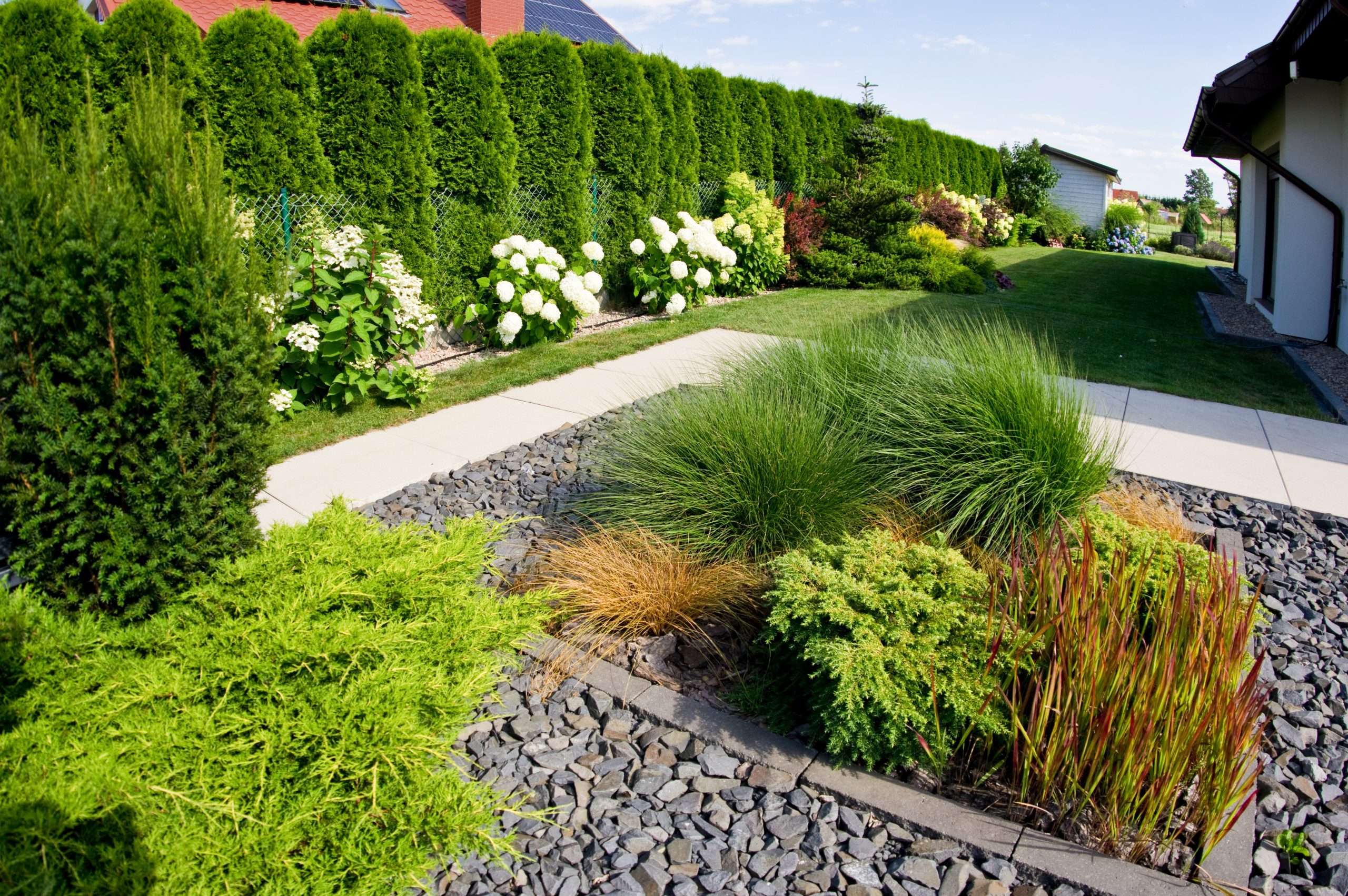 Frontyard of a modern house garden detail with plants and rocks