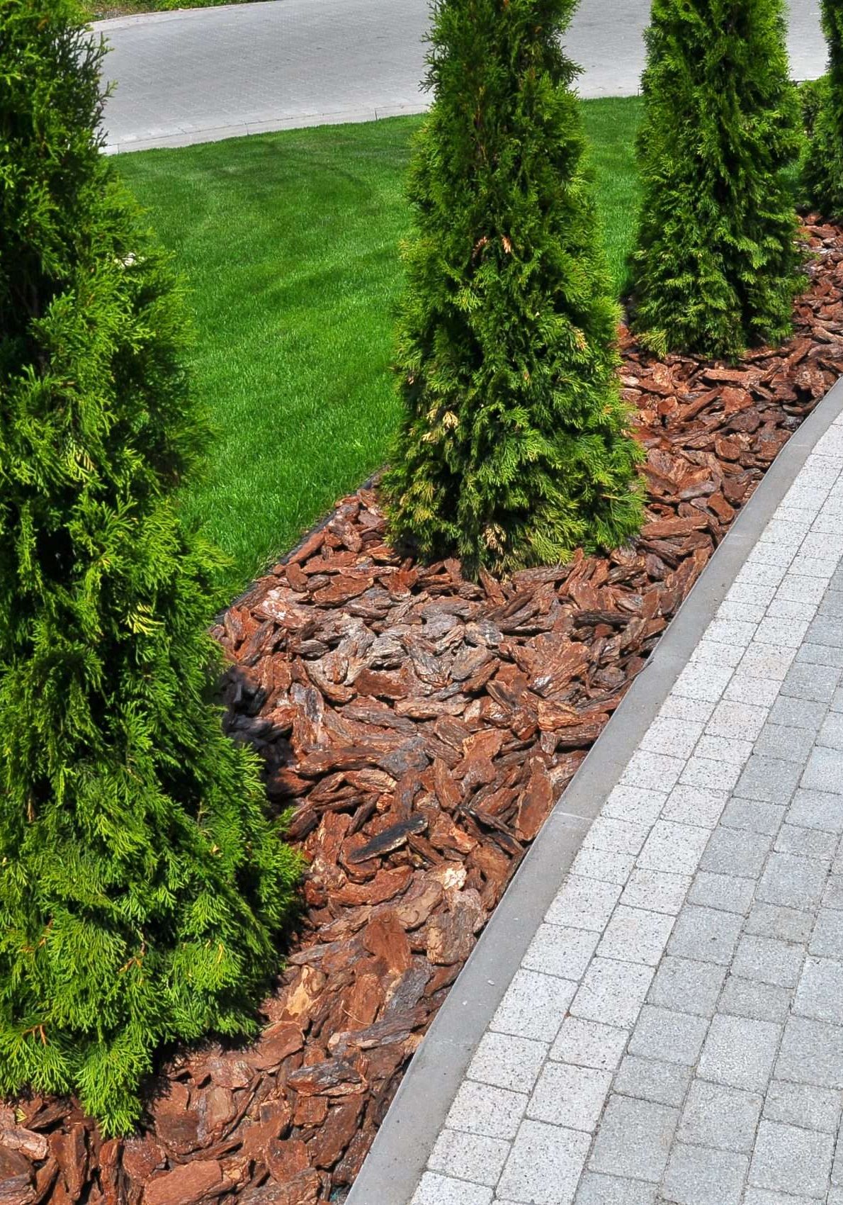 Design of landscaping in the garden, park, square, recreation ar
